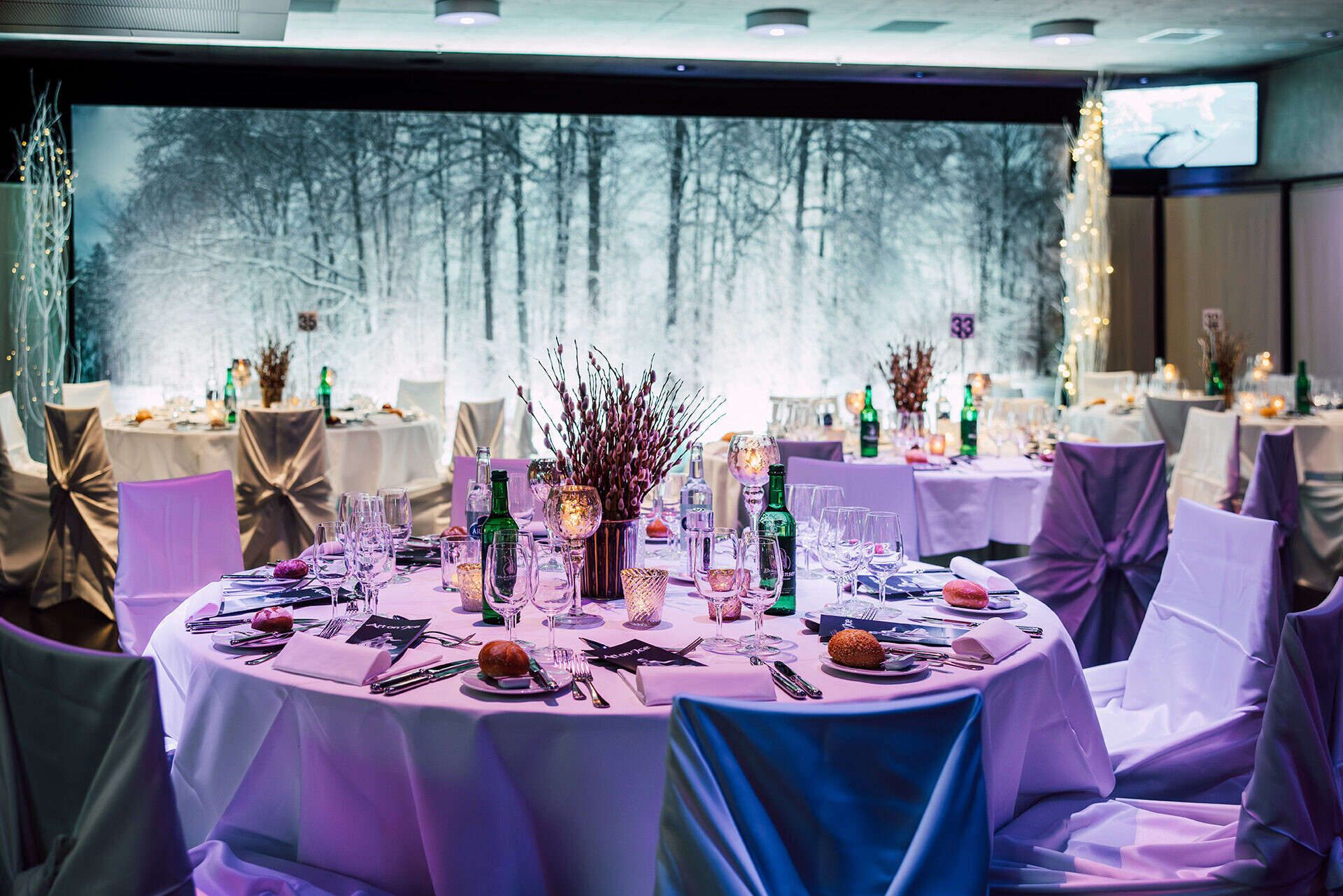 Art on Ice Gala Buffet